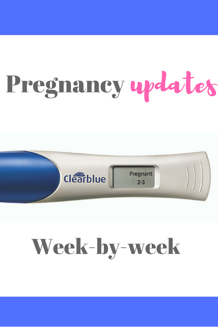 Weekly pregnancy updates, week-by-week from the first trimester, second trimester and third trimester - what to expect when you're expecting a baby!