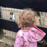 Animals at Crystal Palace Farm