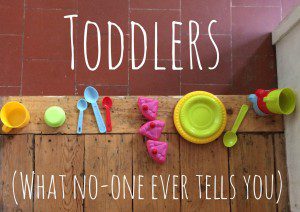 The things no-one ever tells you about toddlers