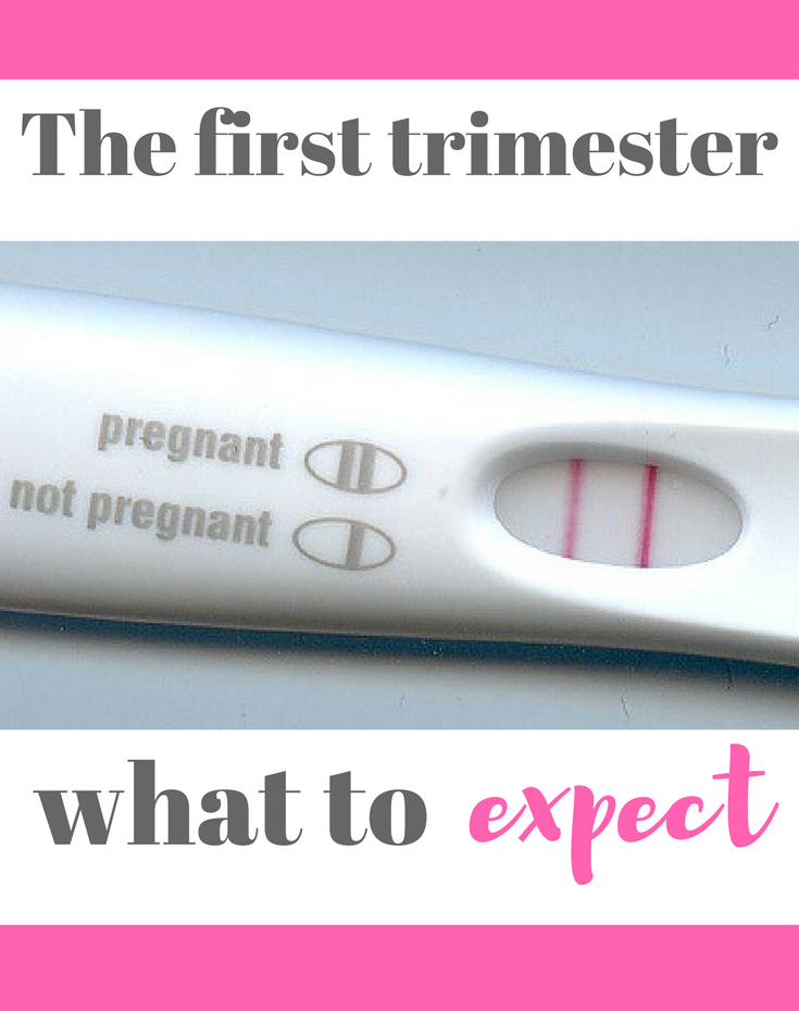 The first trimester of pregnancy - what to expect! A truthful account of what to expect in the first trimester, from sickness to cravings