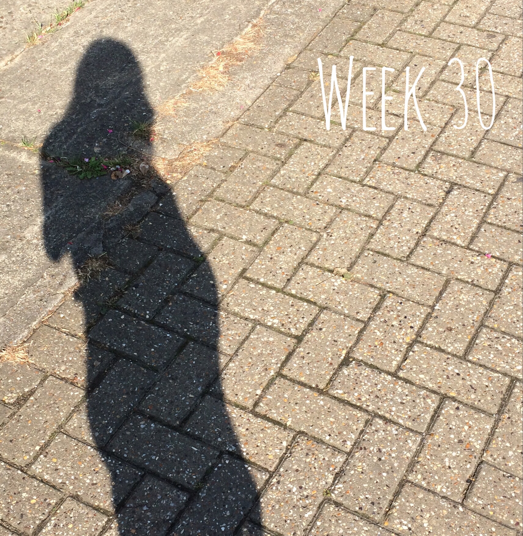 30 weeks pregnant - a pregnancy update in the third trimester