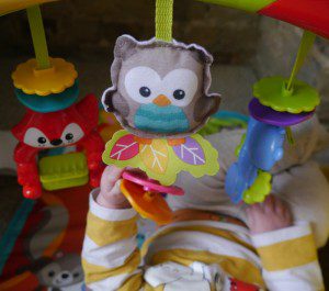 Fisher Price baby gym review