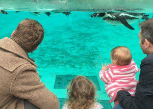 Penguin enclosure at London Zoo