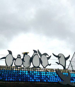 penguins at London zoo