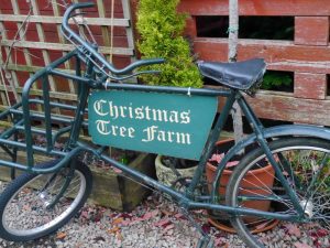 Bike at Christmas Tree Farm, Kent