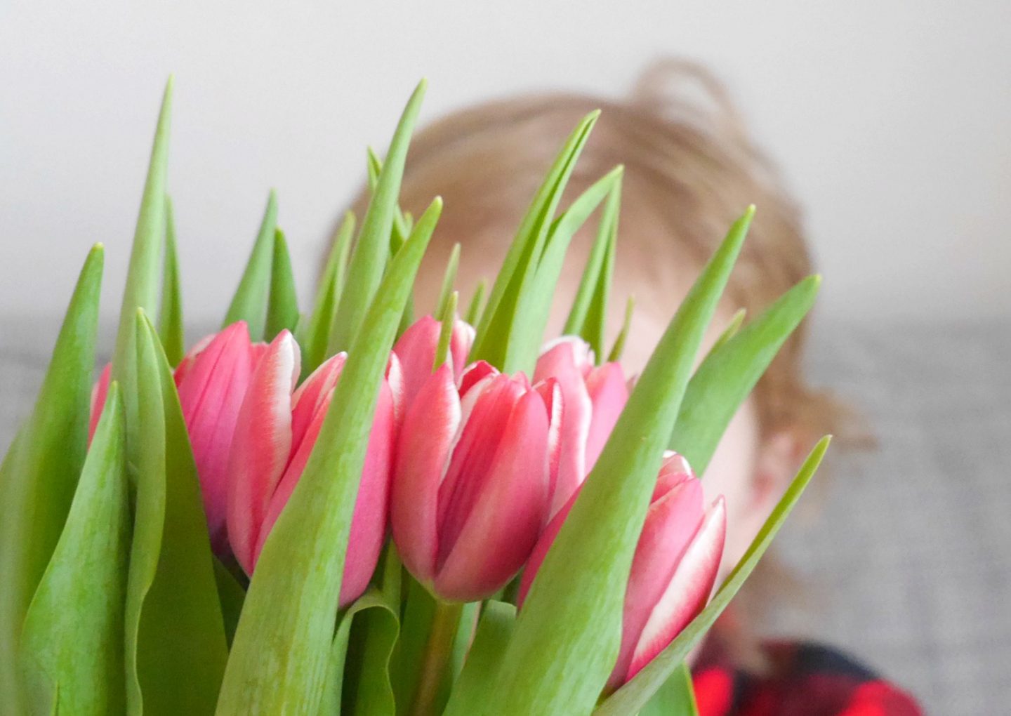 Toddlers and tulips