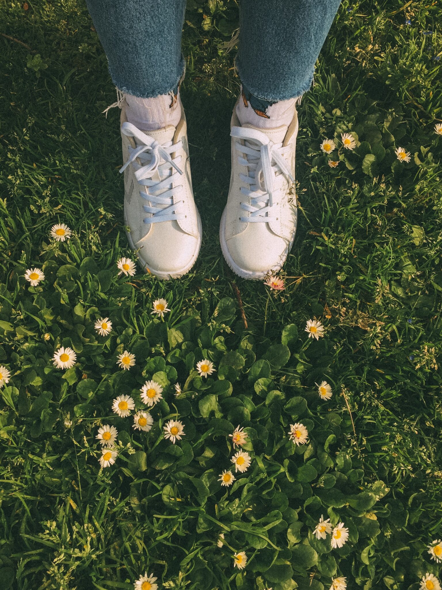 Nicknames For Daisy 41+ Of The Best Daisy Nicknames A Baby on Board blog